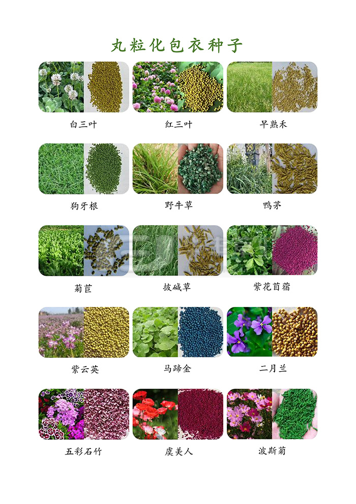 种子丸；；；；；；；；庸