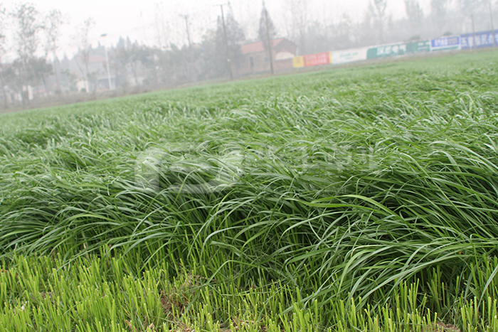 KS凯时·(中国区)官方网站