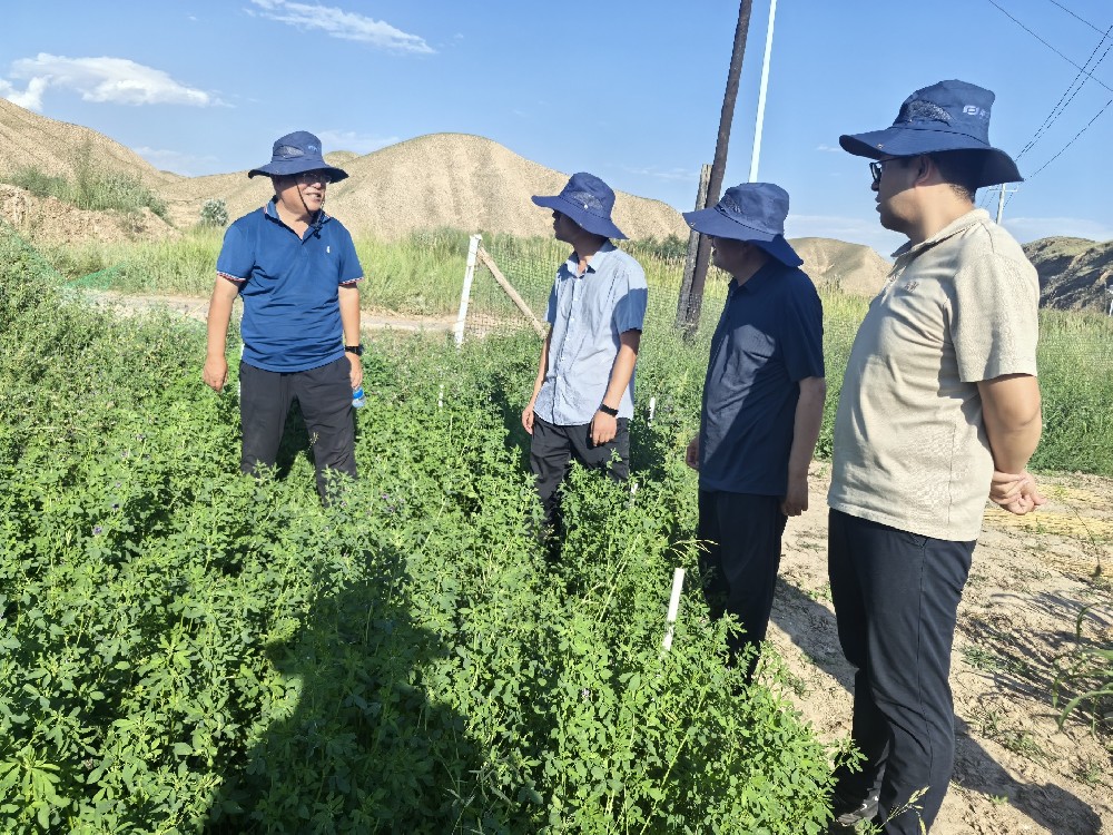兰州新区农投集团新高原农牧公司**光临我司兰州草种类造种试验站调查调研